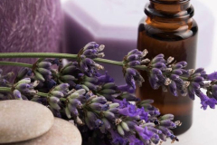 lavender_oil