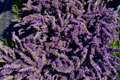 1198A760-BE80-4DD5-BAB8-6BF60C685159