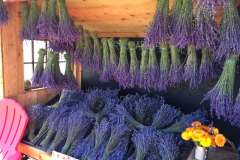 lavender_kiosk2